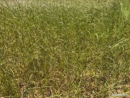 terrain 638 m² dirinon