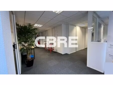 location local professionnel 250m²