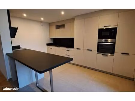 appartement lyon 118m2