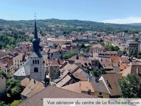 achat : appartement (74800)