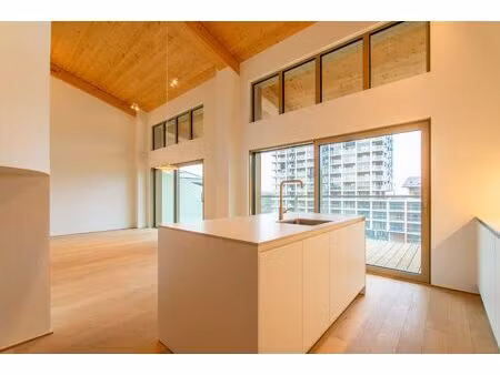 prachtige penthouse 3 kamer appartement met prachtig terras