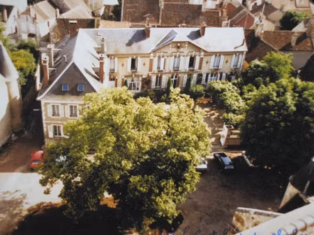 vente maison 18 pièces 570 m² à mailly-le-château (89660)  342 000 €