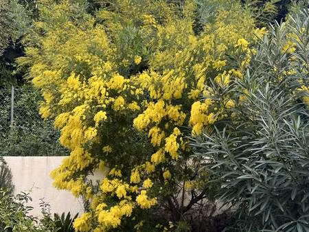 la seyne-sur-mer (83500)