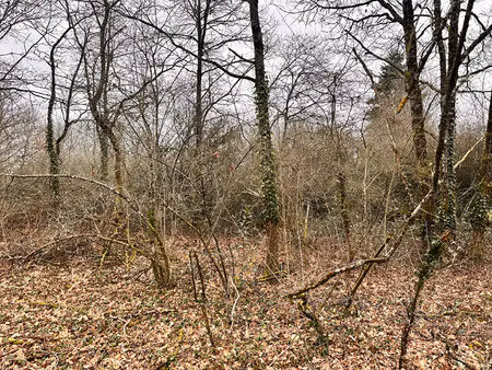 achat terrain 1 126m²