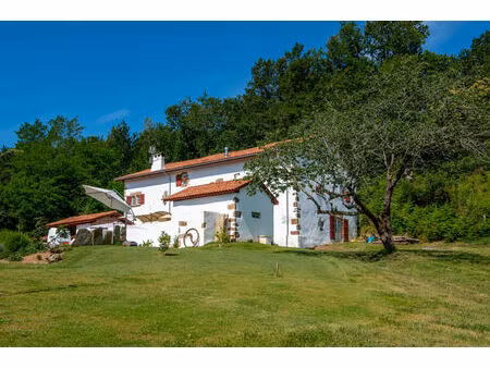 vente maison 7 pièces 400m2 sare 64310 - 1750000 € - surface privée
