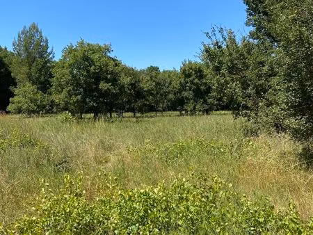 vente maison neuf 4 pièces 90m2 rians - 235000 € - surface privée