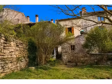 maison avec jardin bruniquel