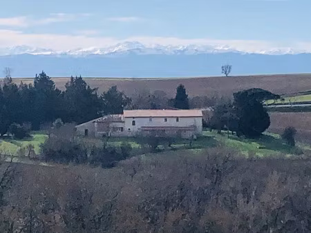 vente maison 8 pièces 300 m² à nailloux (31560)  439 000 €