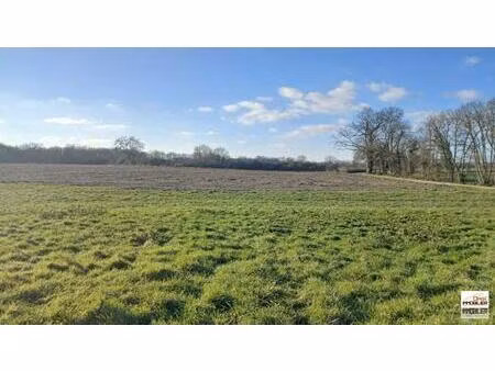 terrain constructible