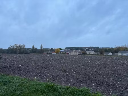 vente terrain à cierzac (17520)  50 000 €