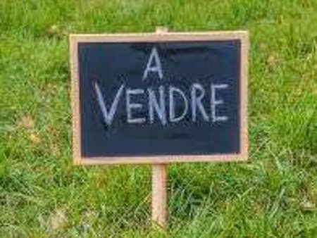 vente terrain à cantenay-épinard (49460) : à vendre / cantenay-épinard