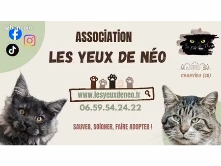 location garage   cave ...