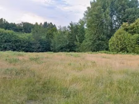 vente terrain 3006 m² à estivaux (19410)  35 000 €