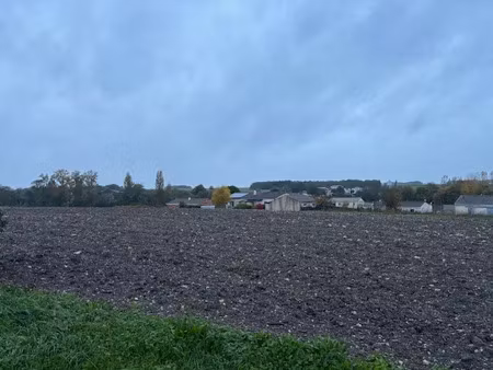 vente terrain à cierzac (17520)  50 000 €