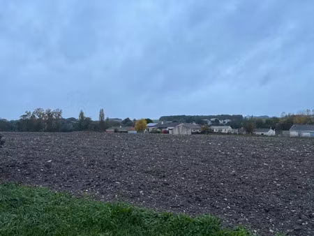 vente terrain à cierzac (17520)  61 000 €