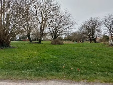 vente terrain 4593 m² à clion (17240)  56 000 €