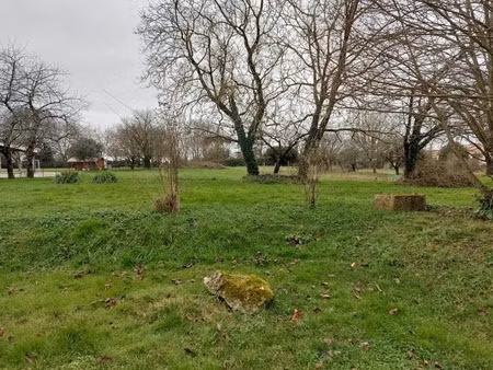 vente terrain 4593 m² à jonzac (17500)  56 000 €