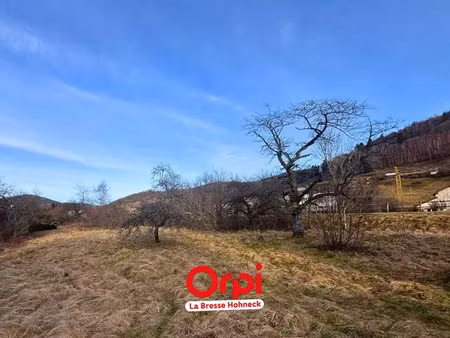vente terrain à batir 3579 m² à bussang (88540)  80 000 €