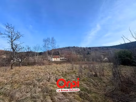vente terrain à batir 3579 m² à bussang (88540)  85 000 €
