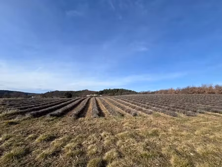 vente terrain 641 m² à roumoules (04500)  92 000 €