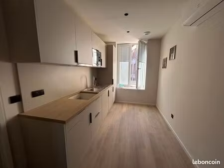 appartement 1 pièce 41 m²