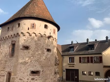 location appartement t4