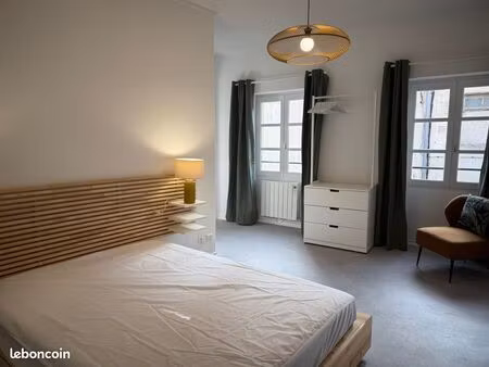 magnifique t2 entiérement meublé hyper centre