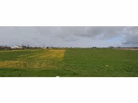 vente terrain 408 m² à mornac-sur-seudre (17113)  104 000 €