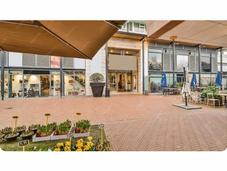 vente locaux professionnels 700 m² à plonéour-lanvern (29720)  964 800 €