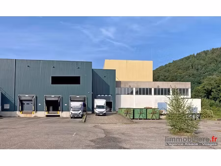 vente locaux professionnels 0 pièces 7176 m² à sainte-marie-aux-mines (68160)  550 000 €