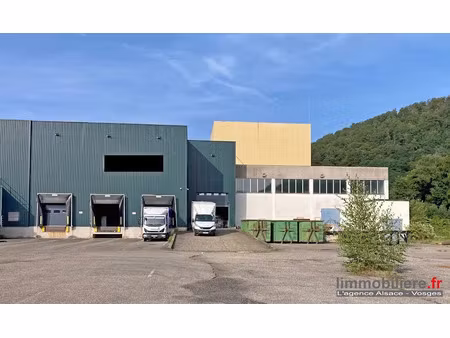 vente locaux professionnels 0 pièces 7176 m² à sainte-marie-aux-mines (68160)  569 800 €
