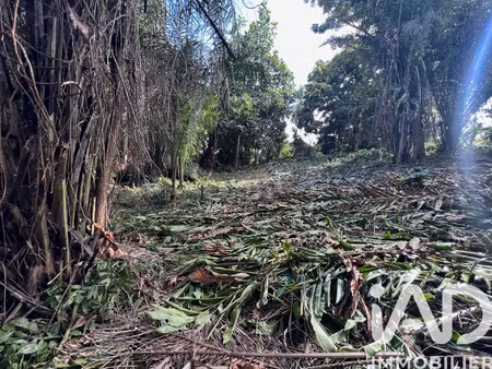 vente terrain 2 007 m²