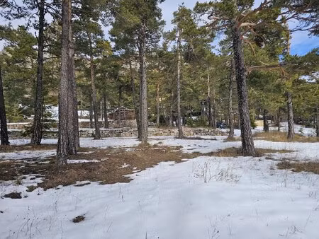 la moulière : terrain plein sud face aux pistes 4500m² env.