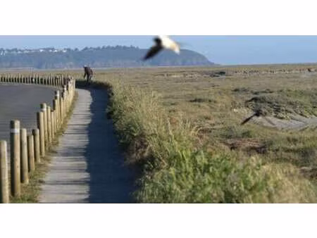 vente terrain aux greves-langueux (22360) : à vendre / 546m² les greves-langueux