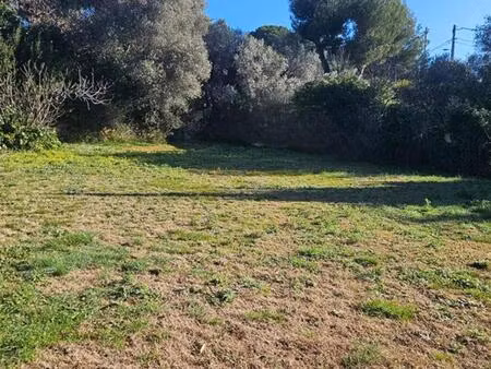 vente en exclusivité terrain viabilisé sur saint andré de sangonis