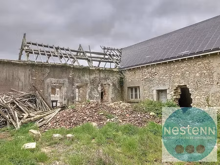 vente maison 3 pièces 126.17 m² à ecoman (41290)  44 000 €