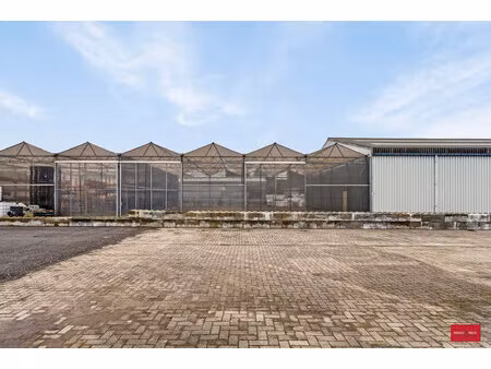 commercieel te huur in hoogstraten