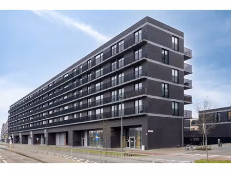 appartement te huur in antwerpen met 2 slaapkamers