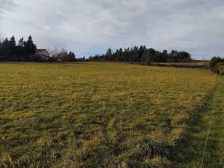 achat terrain 2 591m² montbrison 42600