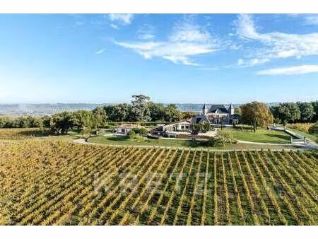 château à vendre à eynesse : | 1300m²