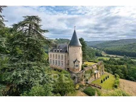château à vendre à fleurac : | 2700m²