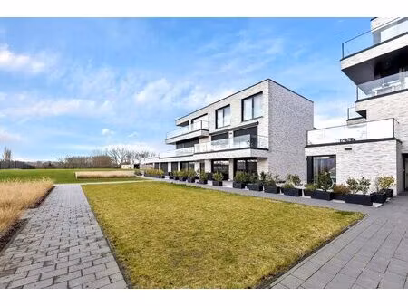 appartement te koop in ninove met 1 slaapkamer