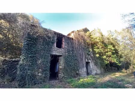 ancienne cave viticole à rénover avec parcelles attenantes 3