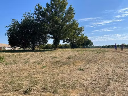 vente terrain 2256 m² à boisredon (17150)  17 500 €