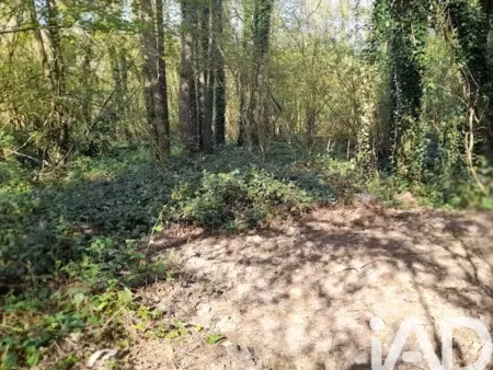 vente terrain 2653 m² à warluis (60430)  17 900 €