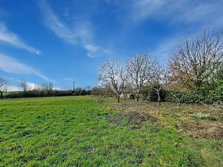 vente terrain 4790 m² à lys-haut-layon (49310)  46 600 €
