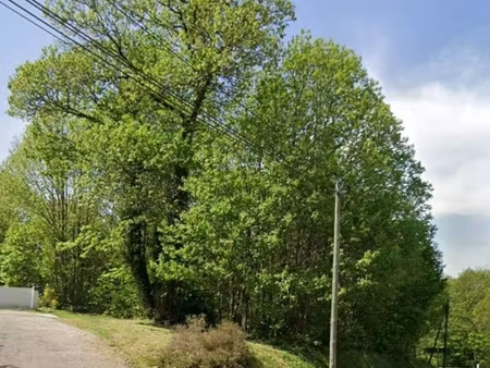 vente terrain 4 817 m²