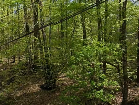 vente terrain loisirs 4 600 m²