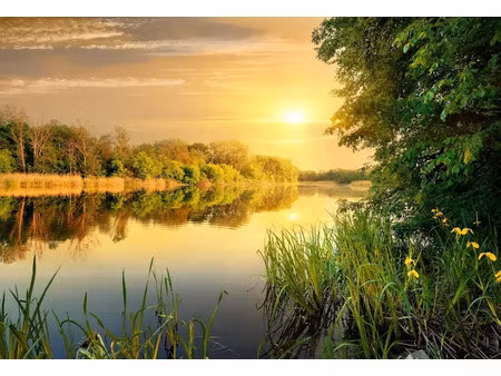 vente terrain 830 m² à hourtin (33990)  180 000 €