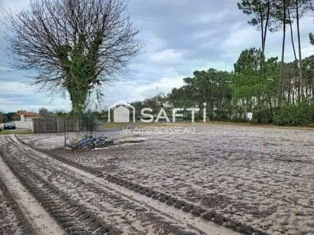 terrain 1532 m2 viabilise en lisière de foret